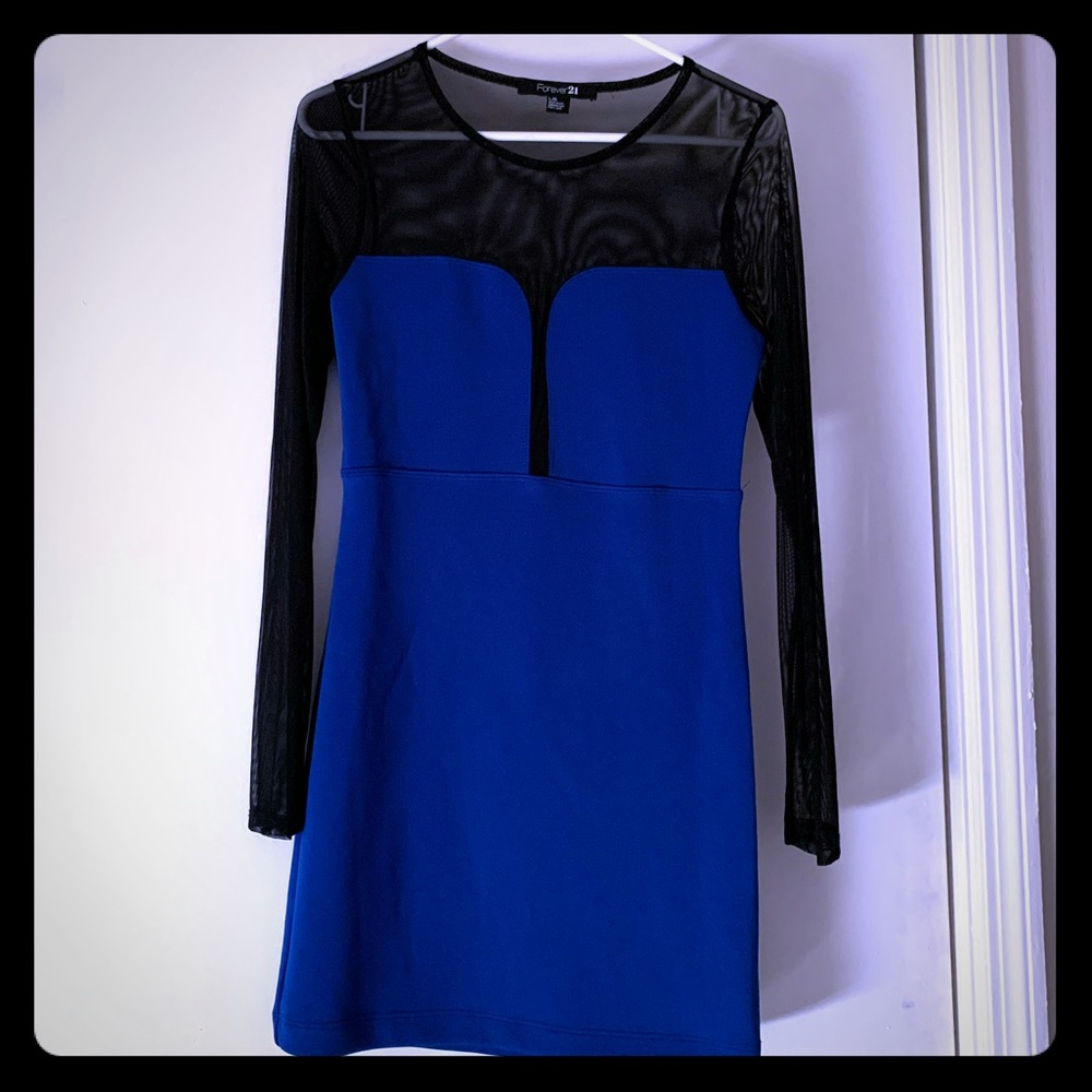 Sheer Long Sleeved Mini Dress